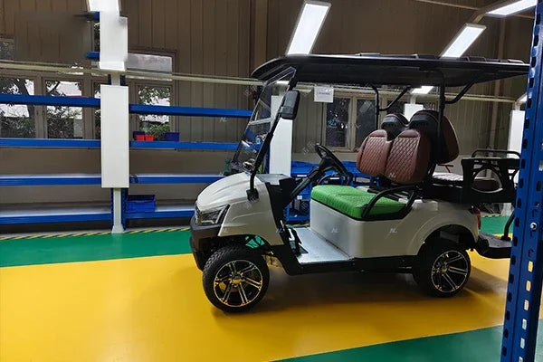 3000W 2000W Off-Road 3 Wheel Electric Scooters Electric Tricycles With EEC/COC Certification European Warehouse Adul