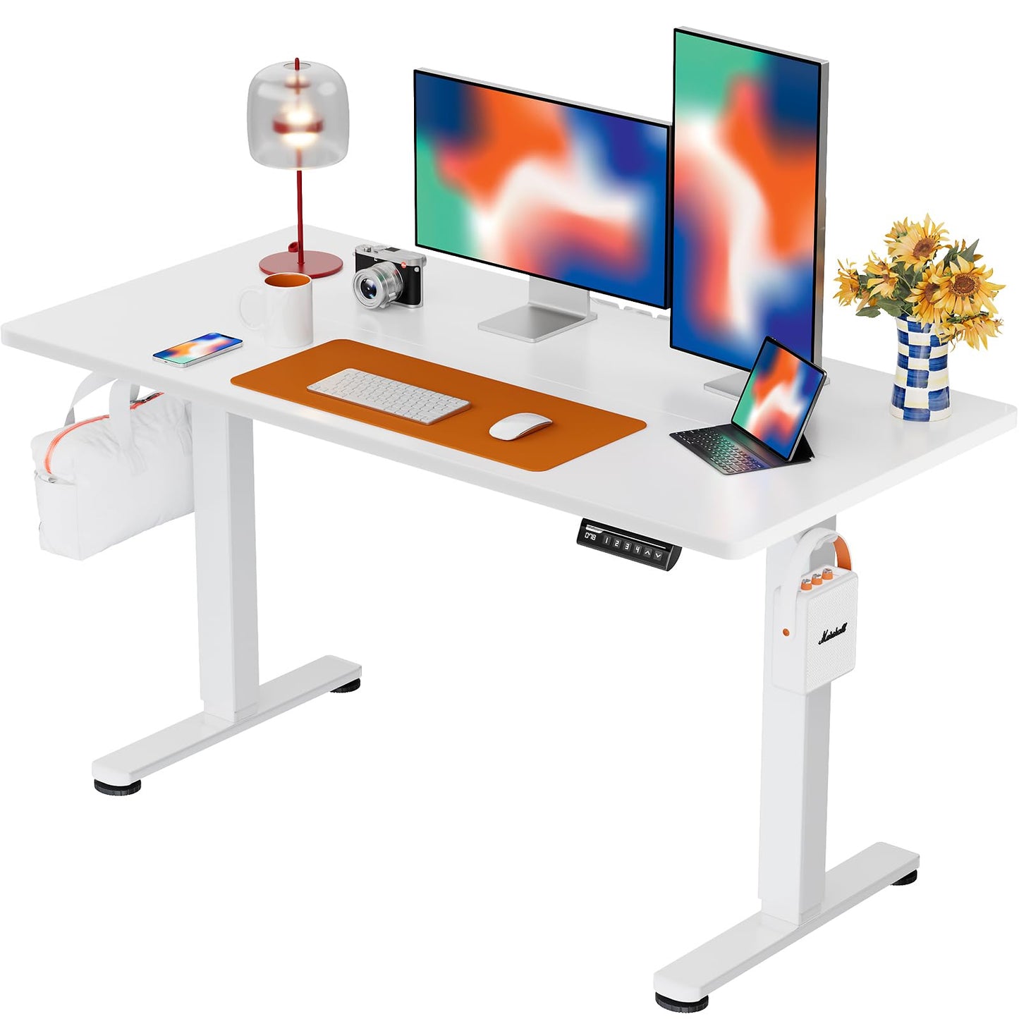 ErGear Height Adjustable Electric Standing Desk, 47.2 x 23.6 Inches Sit Stand up Desk, Memory Computer Home Office Desk (Black)