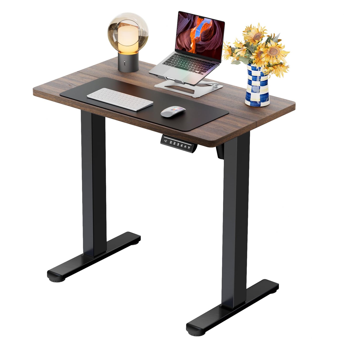 ErGear Height Adjustable Electric Standing Desk, 47.2 x 23.6 Inches Sit Stand up Desk, Memory Computer Home Office Desk (Black)