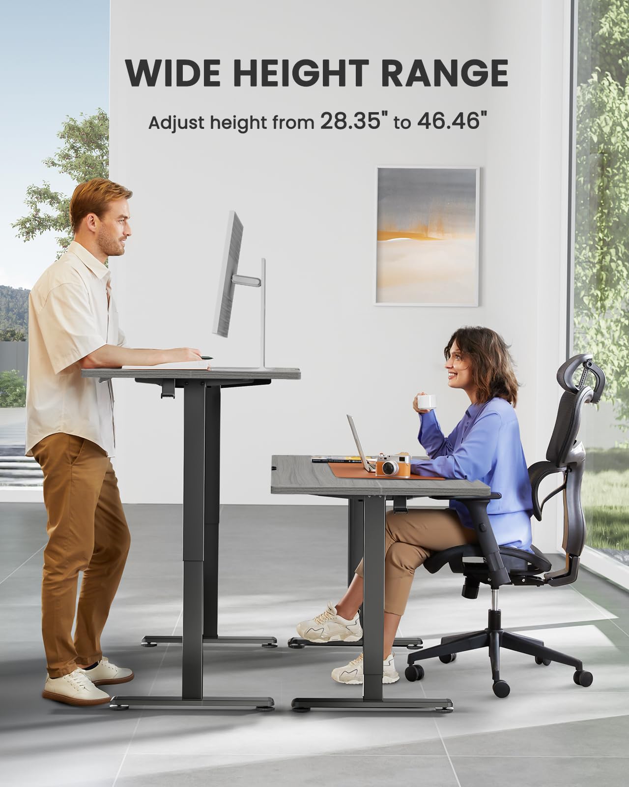 ErGear Height Adjustable Electric Standing Desk, 47.2 x 23.6 Inches Sit Stand up Desk, Memory Computer Home Office Desk (Black)