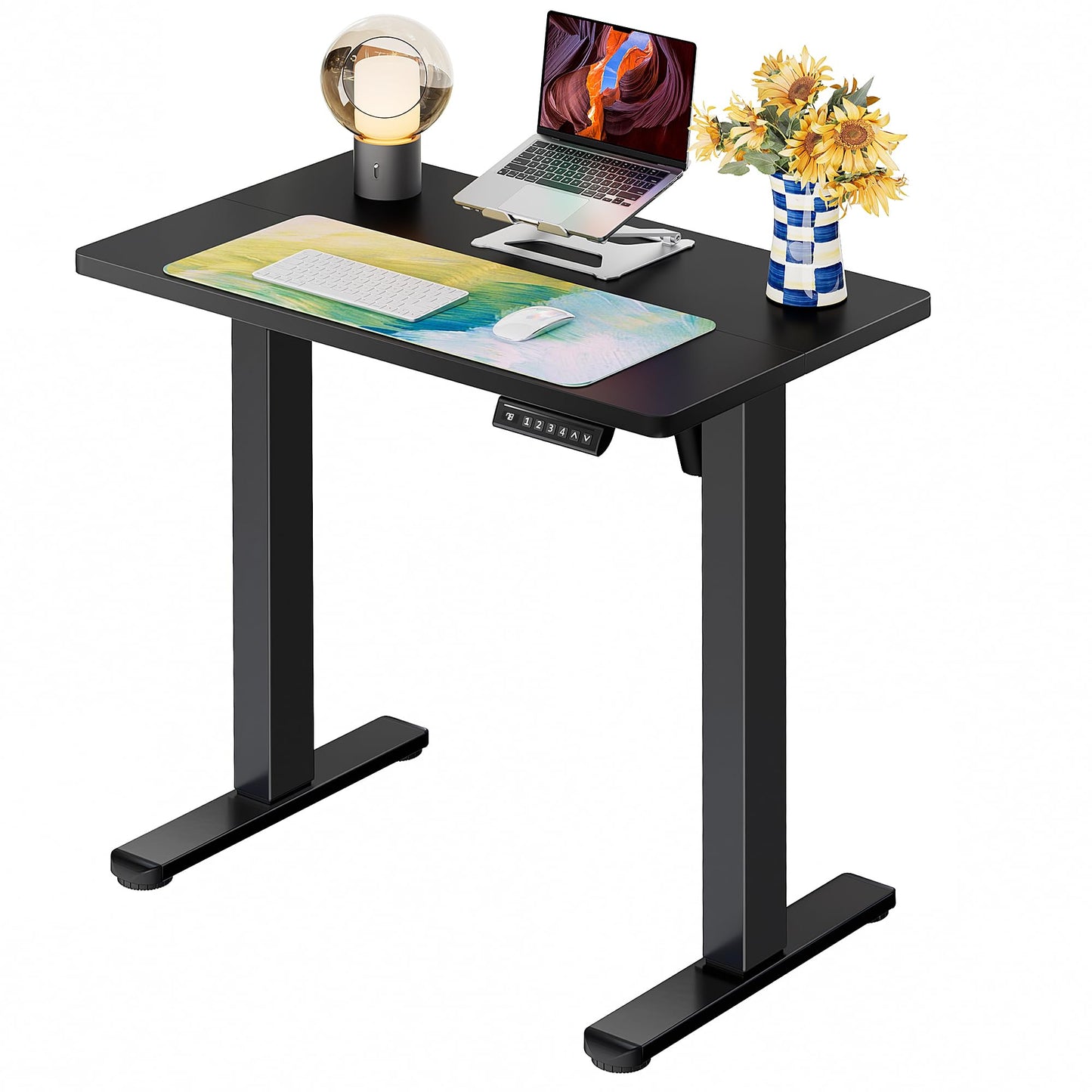 ErGear Height Adjustable Electric Standing Desk, 47.2 x 23.6 Inches Sit Stand up Desk, Memory Computer Home Office Desk (Black)
