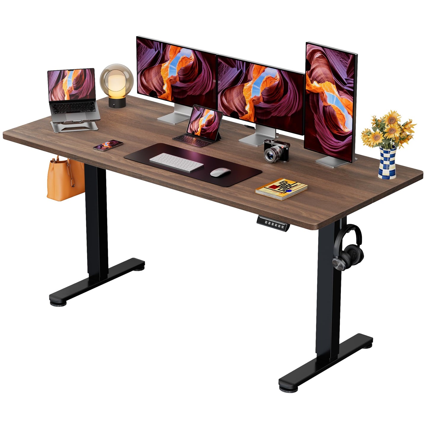 ErGear Height Adjustable Electric Standing Desk, 47.2 x 23.6 Inches Sit Stand up Desk, Memory Computer Home Office Desk (Black)