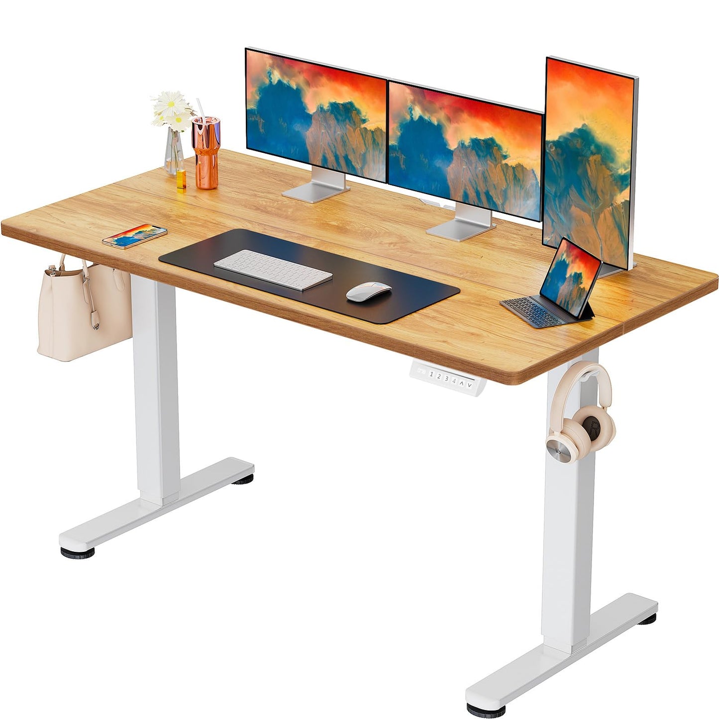 ErGear Height Adjustable Electric Standing Desk, 47.2 x 23.6 Inches Sit Stand up Desk, Memory Computer Home Office Desk (Black)