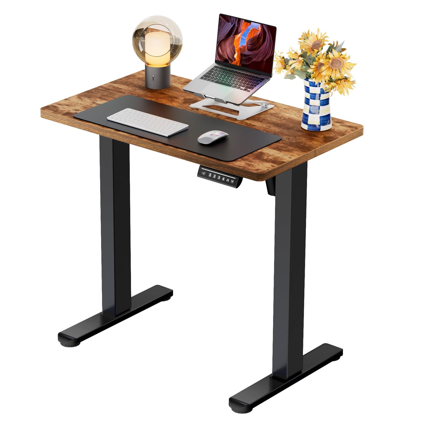 ErGear Height Adjustable Electric Standing Desk, 47.2 x 23.6 Inches Sit Stand up Desk, Memory Computer Home Office Desk (Black)