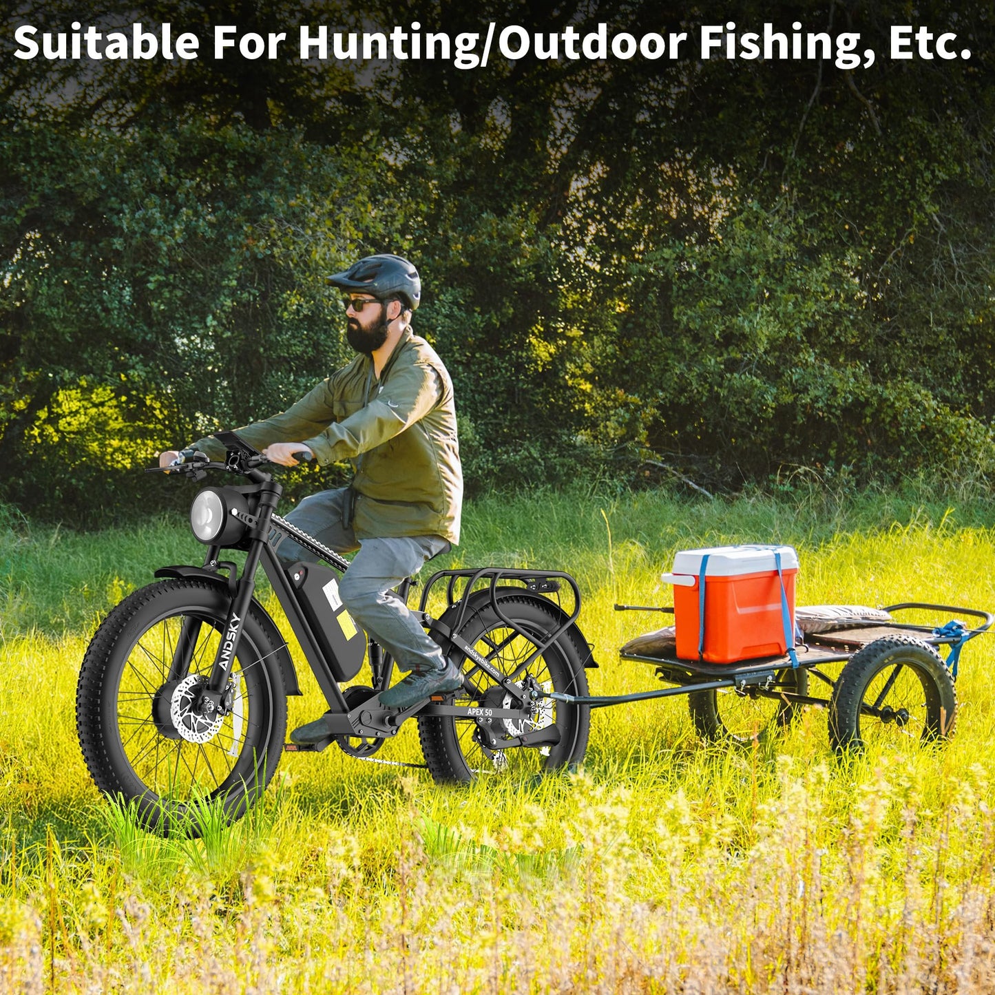 Apex 50 Electric Bike 12 31