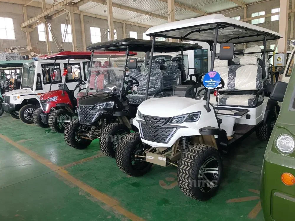 3000W 2000W Off-Road 3 Wheel Electric  Scooters Electric Tricycles With EEC/COC Certification European Warehouse Adul