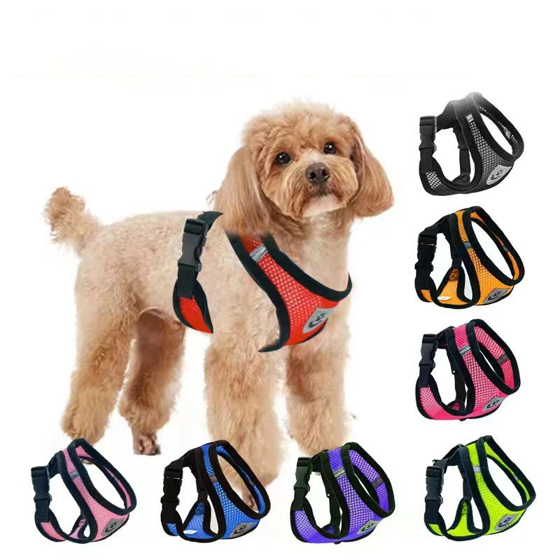Pet chest strap cat leash dog chest strap dog walking leash small dog solid vest type cat leash prevent loss