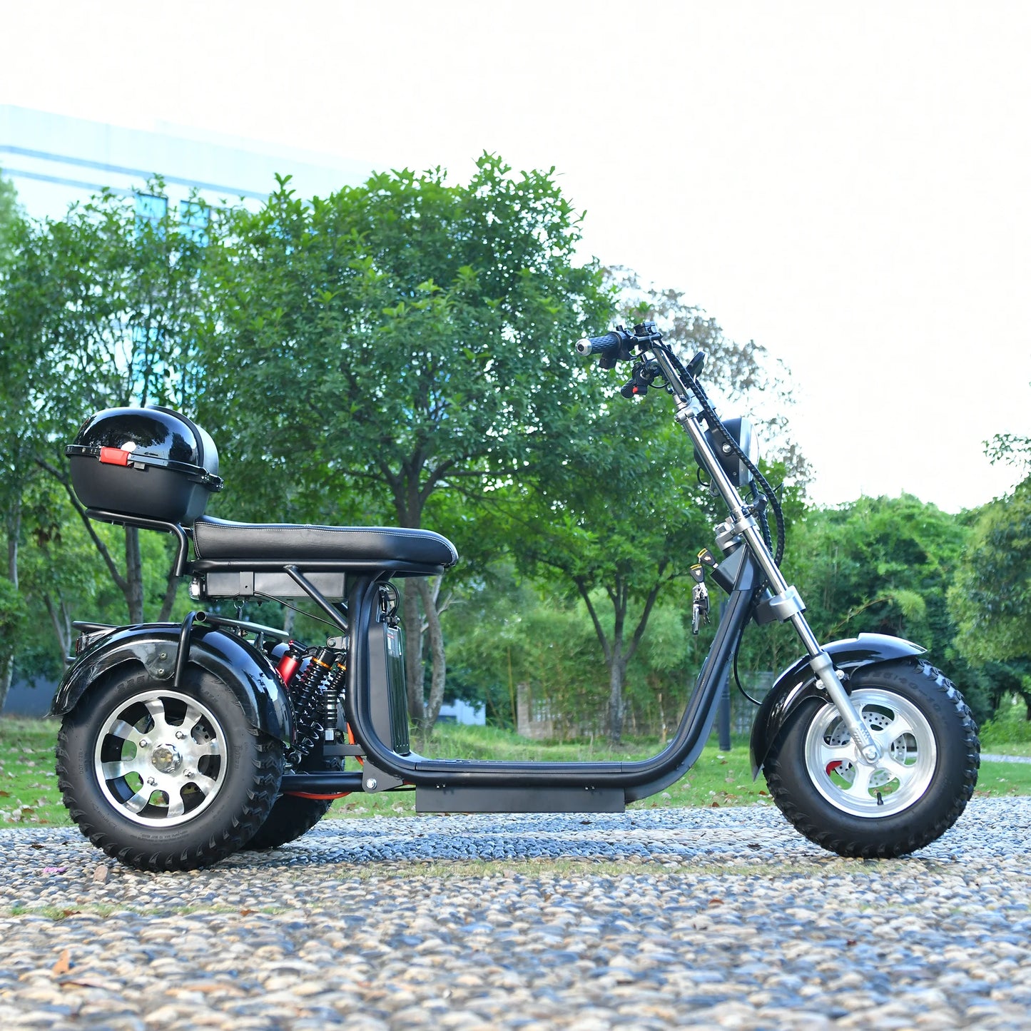 Adults 3 Wheel Electric Scooter 3000W Motor Max Speed 40KM/H Max Load 200KG 18 Inch Off Road Fat Tire Electric Motorcycle