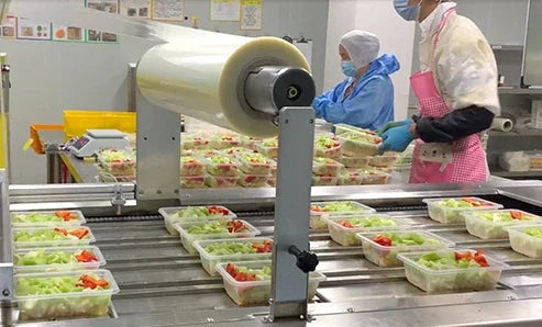 Hygine  Vacuum Plastic Skin Pack Machine Tray Sealer Packaging Machine for Food Seafood