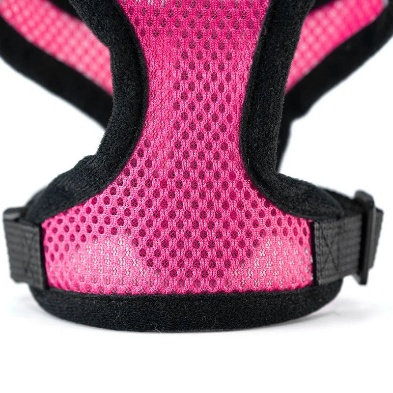 Pet chest strap cat leash dog chest strap dog walking leash small dog solid vest type cat leash prevent loss