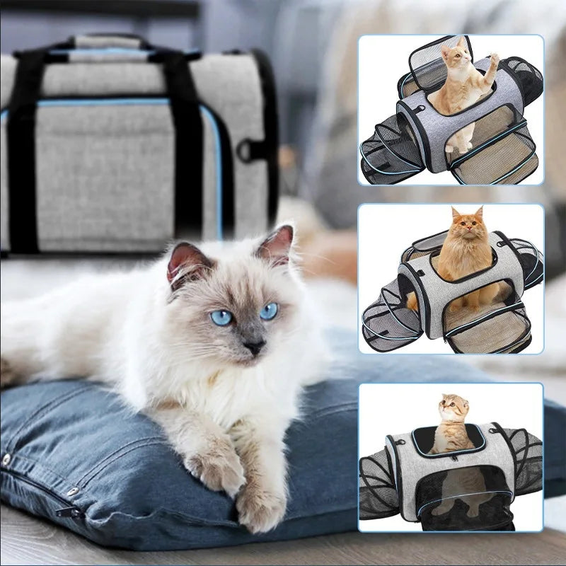 Pet Carrier Backpack Portable Breathable Foldable Light Comfort for Cats Dogs Outdoor Travel Transport Bag for Small Medium Pets