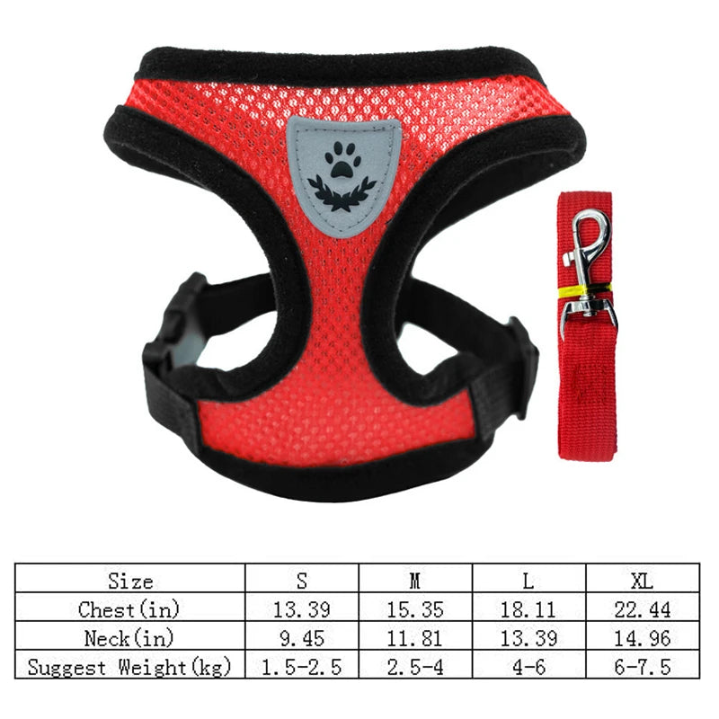 Pet chest strap cat leash dog chest strap dog walking leash small dog solid vest type cat leash prevent loss