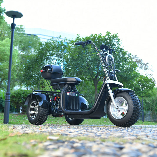 Adults 3 Wheel Electric Scooter 3000W Motor Max Speed 40KM/H Max Load 200KG 18 Inch Off Road Fat Tire Electric Motorcycle