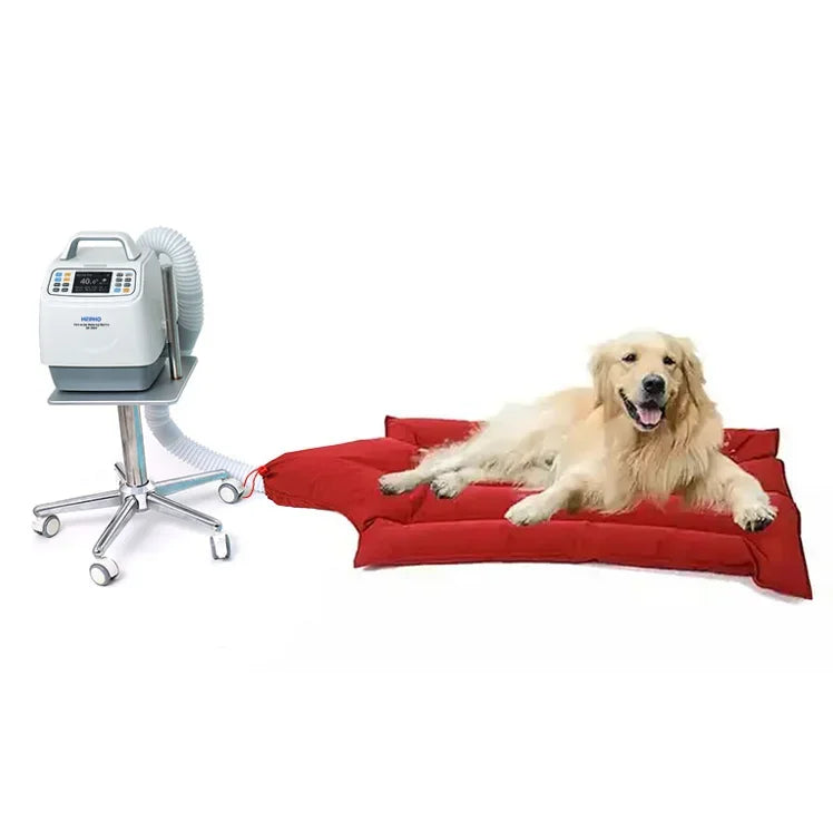 Pet heating system for animal use in clinic warmer
