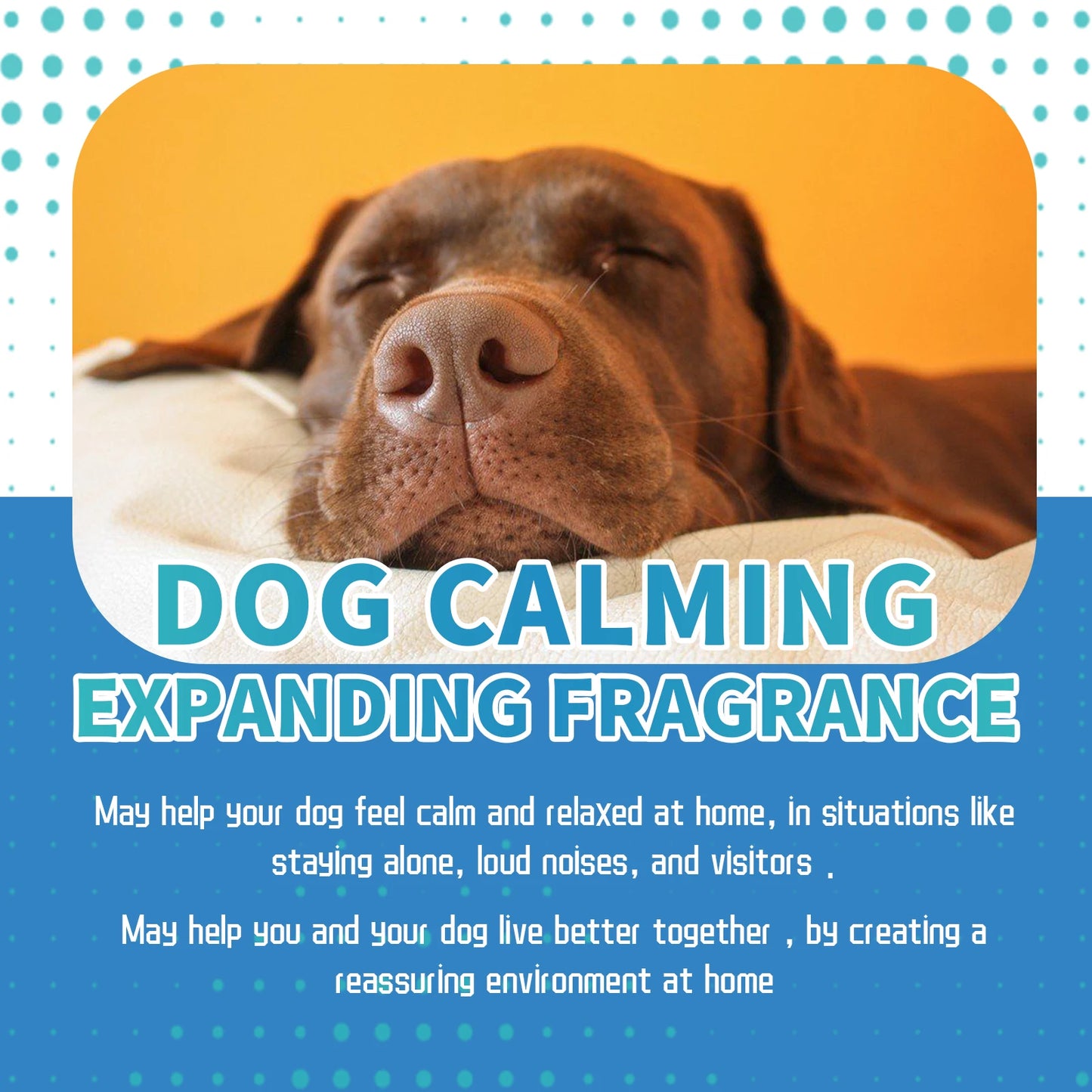 Pet Emotion Care Liquid: Calming and Soothing Care Liquid to Relieve Anxiety in Cats and Dogs