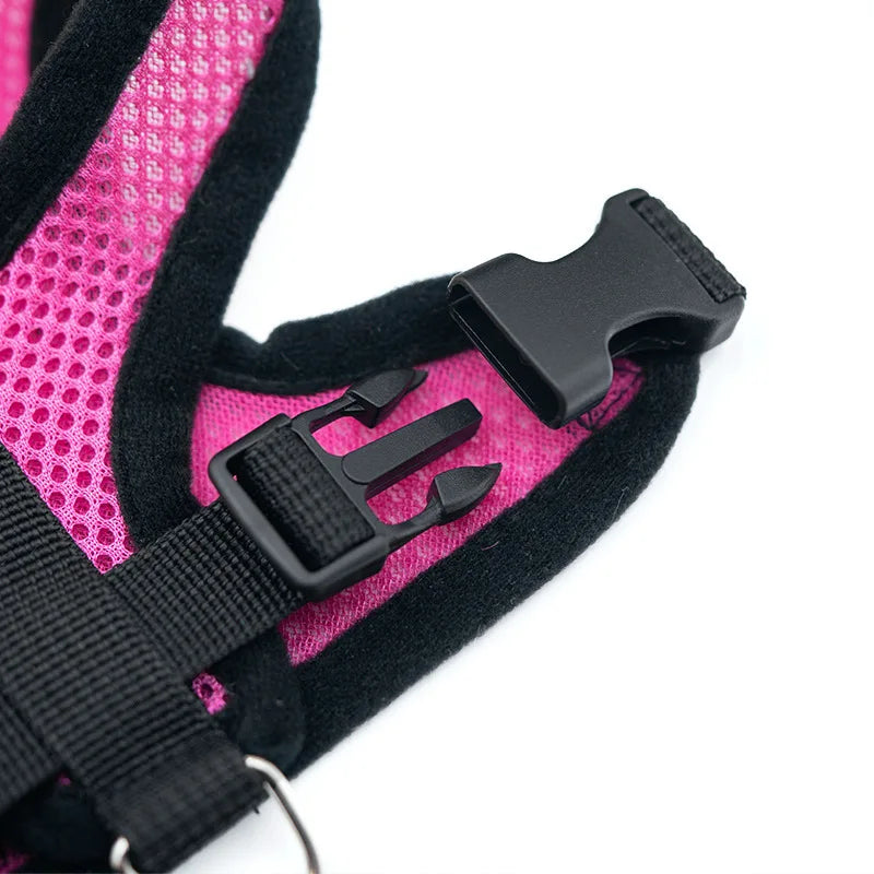 Pet chest strap cat leash dog chest strap dog walking leash small dog solid vest type cat leash prevent loss