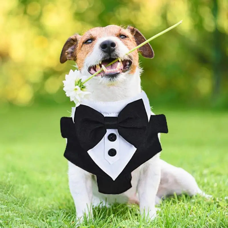 Dog Tuxedo Costume Formal Shirt Wedding Black Jacket Suit Pet Puppy Prince Ceremony Bow Tie Suit Small Dogs Cats Clothes