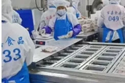 Hygine  Vacuum Plastic Skin Pack Machine Tray Sealer Packaging Machine for Food Seafood