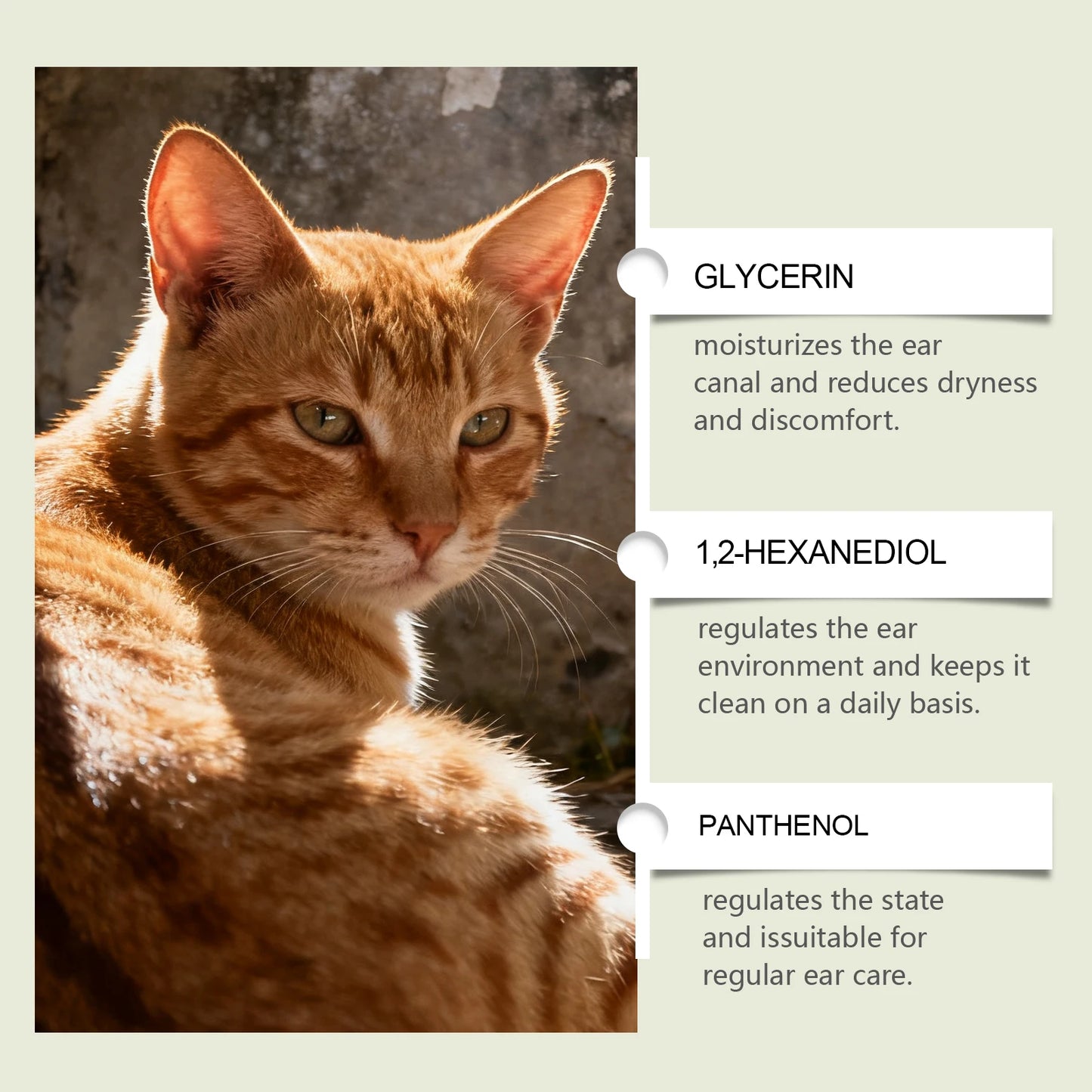 Universal Pet Ear Care Drops (Cats & Dogs) - Gentle Cleansing, Odor Removal. Daily Nourishment & Ear Care for Pets