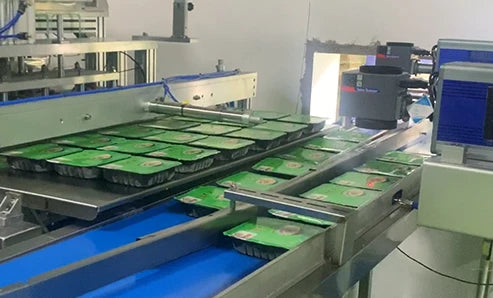 Hygine  Vacuum Plastic Skin Pack Machine Tray Sealer Packaging Machine for Food Seafood